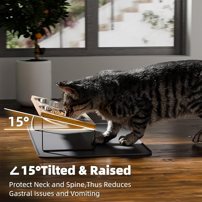 Elevated Cat Bowls Whisker Friendly,Cat Food Bowls with Silicone Food Mat,15°Tilted Stand Anti Vomiting Raised Cat Dishes for Food and Water,2 Stainless Steel Bowls for Cats and Puppy, Bamboo