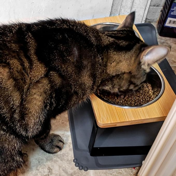 Elevated Cat Bowls Whisker Friendly,Cat Food Bowls with Silicone Food Mat,15°Tilted Stand Anti Vomiting Raised Cat Dishes for Food and Water,2 Stainless Steel Bowls for Cats and Puppy, Bamboo
