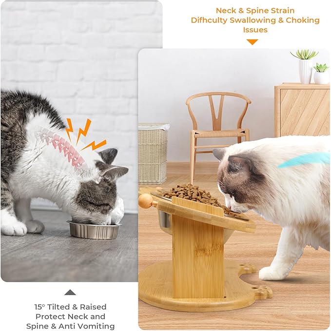 Upgraded Elevated Cat Bowls - 15°Tilted Stand Anti Vomiting Raised Cat Dishes for Food and Water, 2 Stainless Steel Bowls for Cats and Puppy, Bamboo Stand and Anti Vomit Feeding Station
