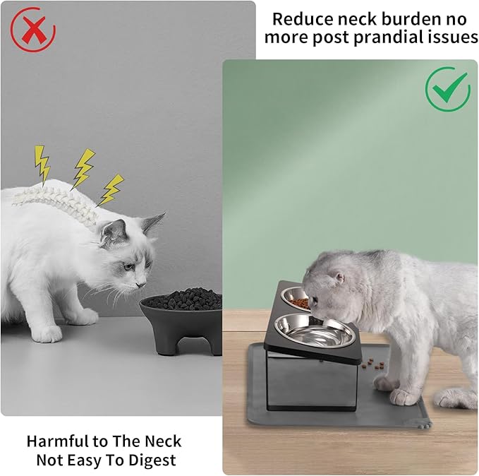 Upgraded Elevated Cat Bowls with Food Mat,15°Tilted Stand Anti Vomiting Raised Cat Dishes for Food and Water,2 Stainless Steel Bowls for Cats and Puppy