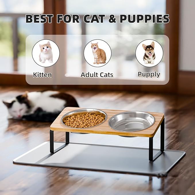 Elevated Cat Bowls Whisker Friendly,Cat Food Bowls with Silicone Food Mat,15°Tilted Stand Anti Vomiting Raised Cat Dishes for Food and Water,2 Stainless Steel Bowls for Cats and Puppy, Bamboo