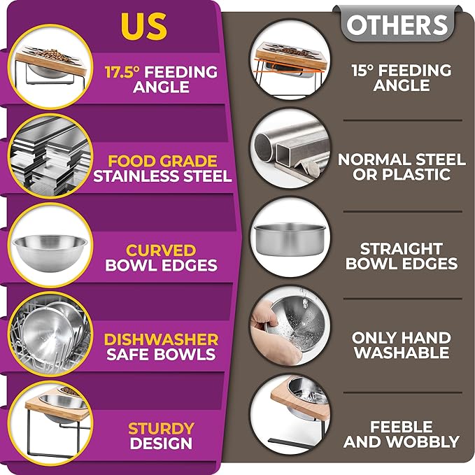 Raised cat Bowls for Indoor Cats by，Elevated cat Bowls, Tilted and Elevated Anti Vomiting Cat Dishes for Food and Water, Set of 2 Stainless Steel Bowl