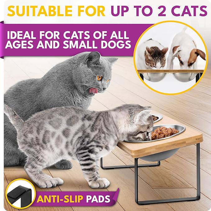 Raised cat Bowls for Indoor Cats by，Elevated cat Bowls, Tilted and Elevated Anti Vomiting Cat Dishes for Food and Water, Set of 2 Stainless Steel Bowl