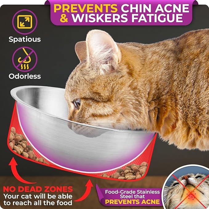 Raised cat Bowls for Indoor Cats by，Elevated cat Bowls, Tilted and Elevated Anti Vomiting Cat Dishes for Food and Water, Set of 2 Stainless Steel Bowl
