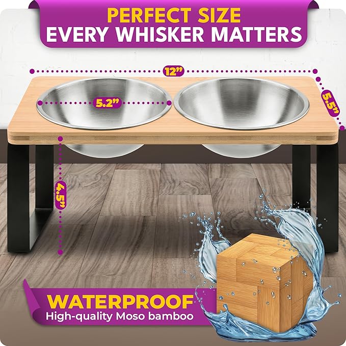Raised cat Bowls for Indoor Cats by，Elevated cat Bowls, Tilted and Elevated Anti Vomiting Cat Dishes for Food and Water, Set of 2 Stainless Steel Bowl